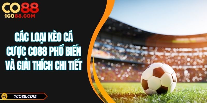 Các loại kèo cá cược CO88