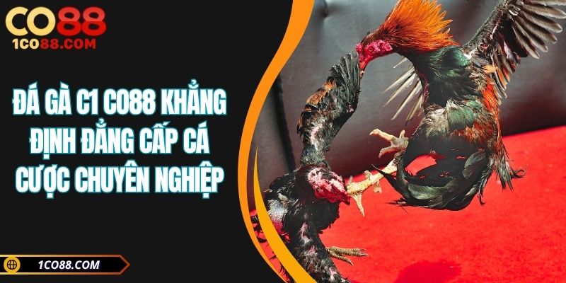 Đá Gà C1 CO88
