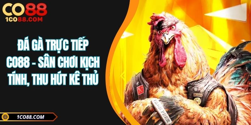 đá gà trực tiếp CO88