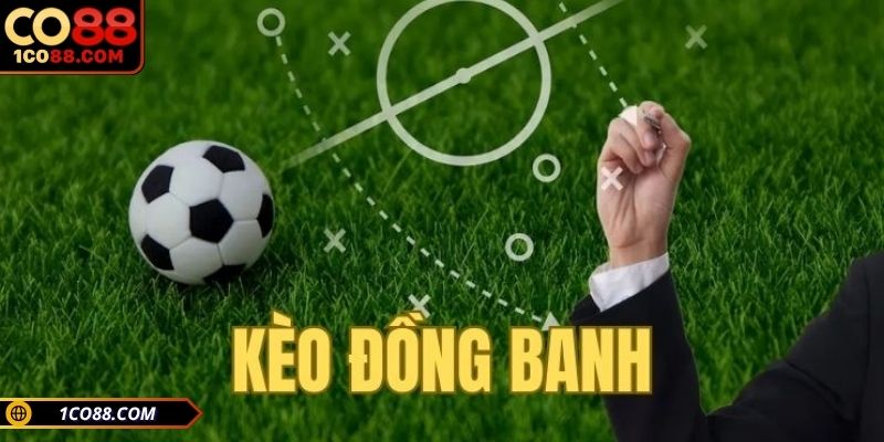 Hướng dẫn cách đọc kèo cược đồng banh tại CO88 cho newbie