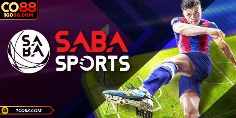 Khám phá sảnh SABA CO88